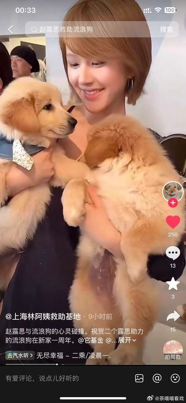 人美心情的赵露思，一直都在默默的做善事赵露思