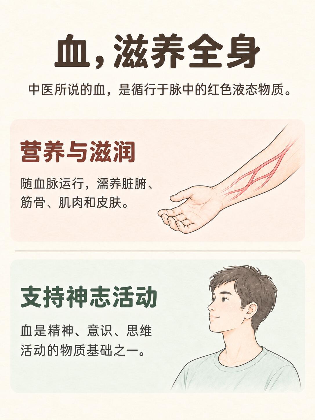 气、血、津、液，各自有什么用？🌿 气：维持生命活动气的作用，可以从五个词理解：