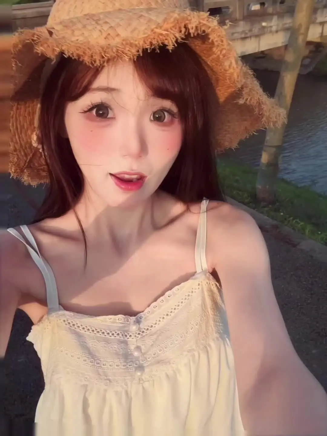 今天来拍向日葵了 居然没有被蚊子咬诶！