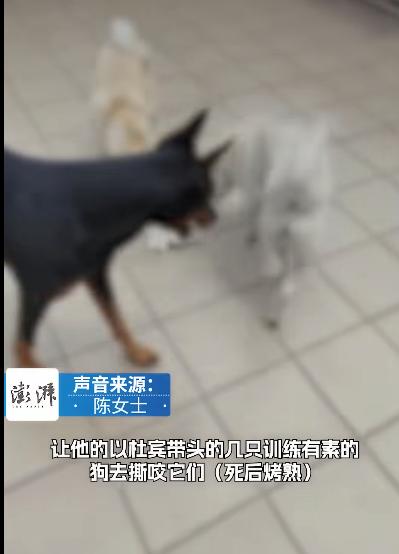 今天刷到个新闻，居然有个男的为了练自己家烈性犬的撕咬能力，钻了“领养代替购买”的