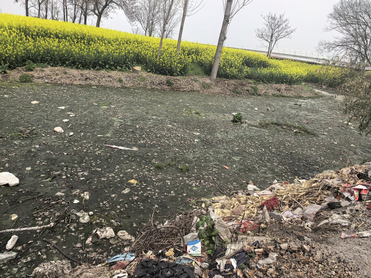 今天去村里，看到一条河沟里面堆满了垃圾，水面上绿油油的几乎堆满了浮萍杂草。
问一