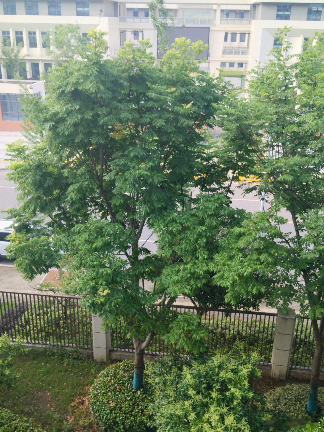 王楚钦击球名场面成烧脑考题王楚钦又上试卷了，这次是数学。安徽中考三模，14分压轴