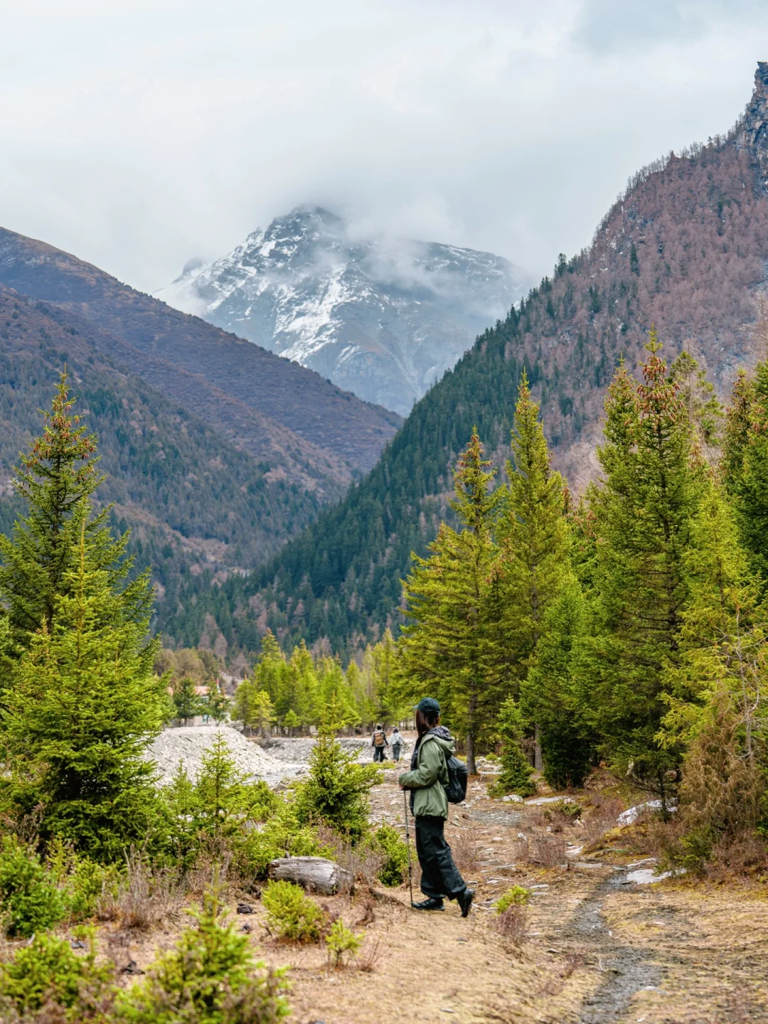 川西徒步📍舍不得公开的宝藏小众🍃森林秘境