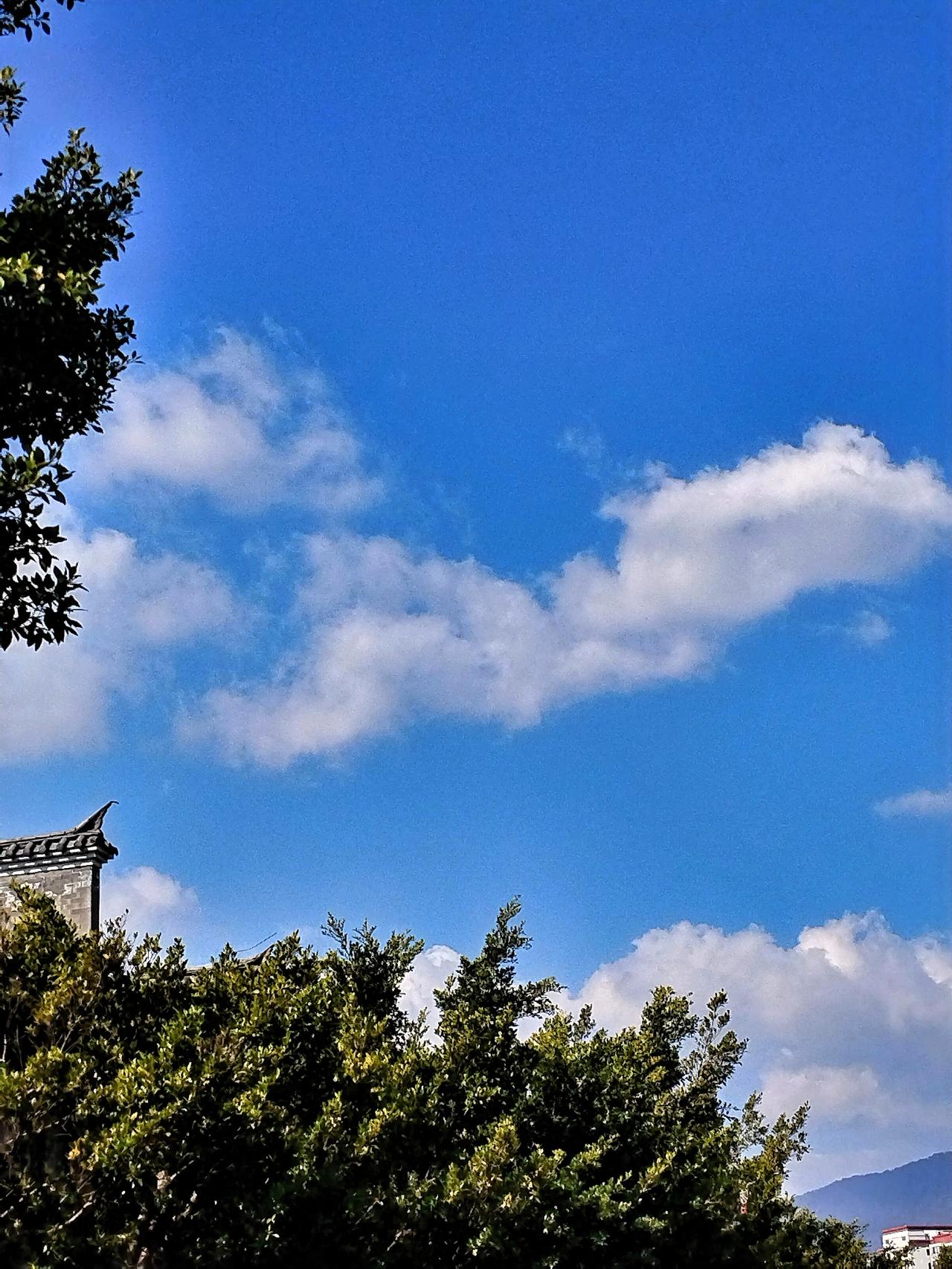 蓝天白云之下，古塔静谧悠远。它稳稳地矗立在大地上，塔身的砖石经岁月打磨，古朴而厚