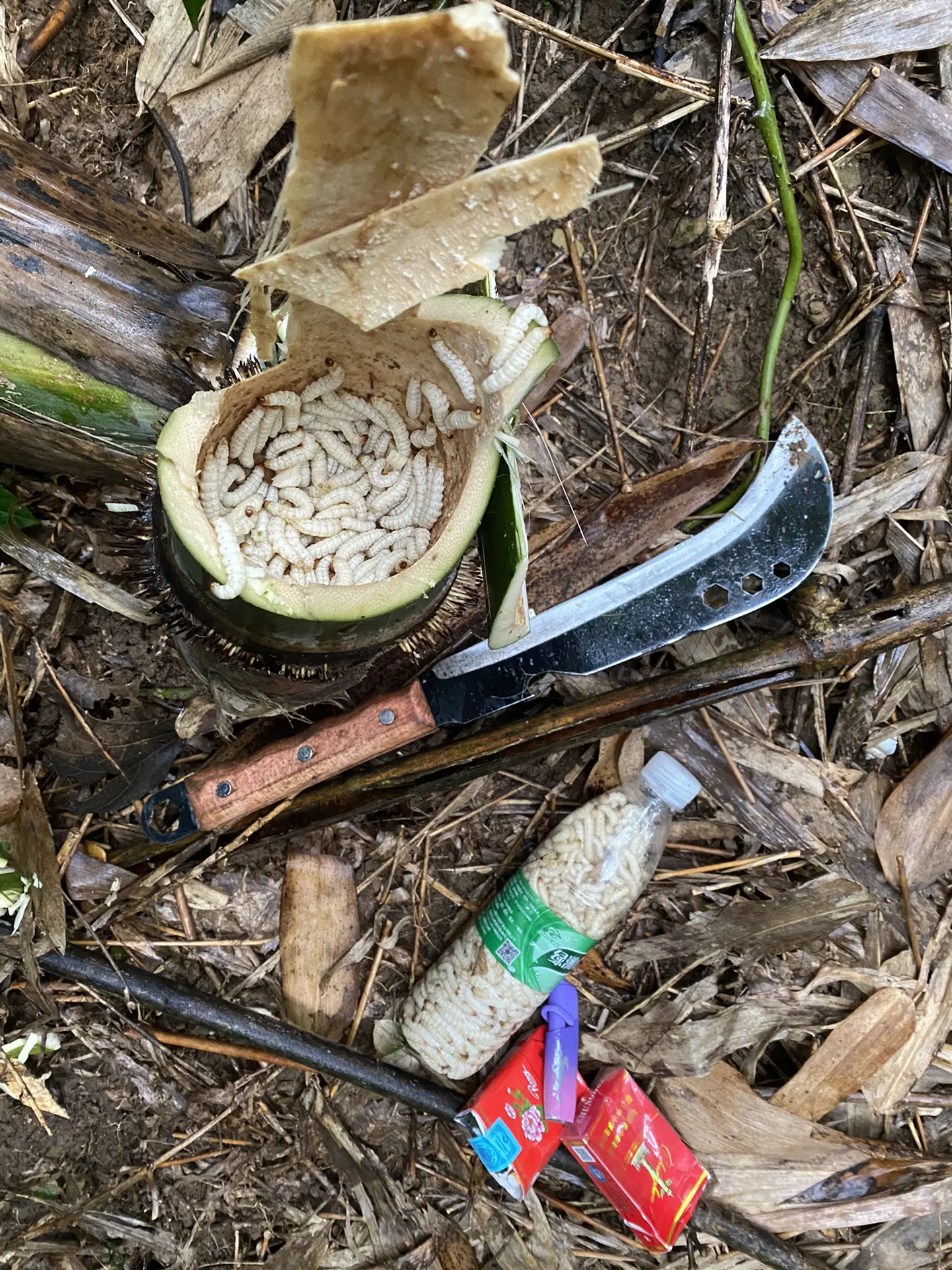 千里狼人 一起享受大自然的美 户外