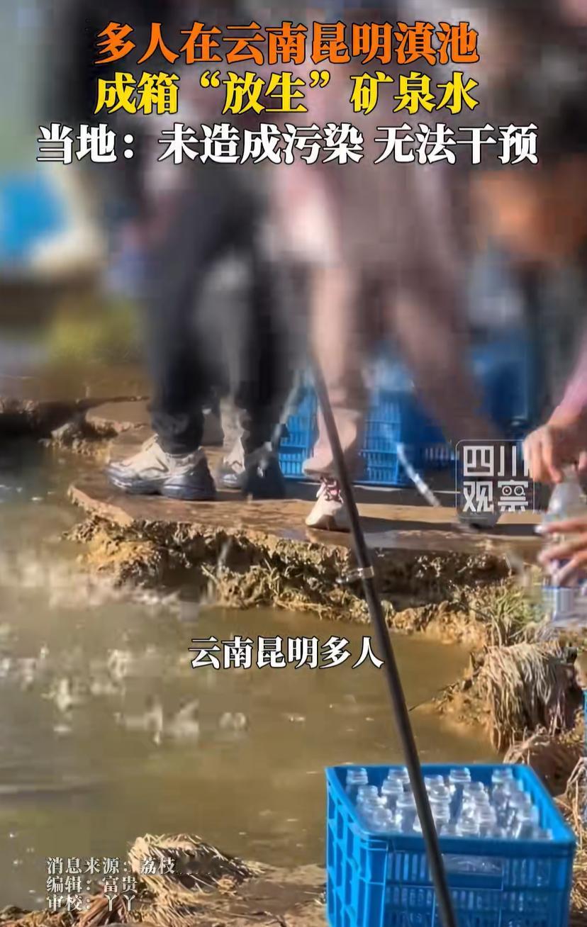 太癫了！云南昆明，女子去滇池游玩，突然看到岸边不少人往水池里泼水，女子还好奇，这