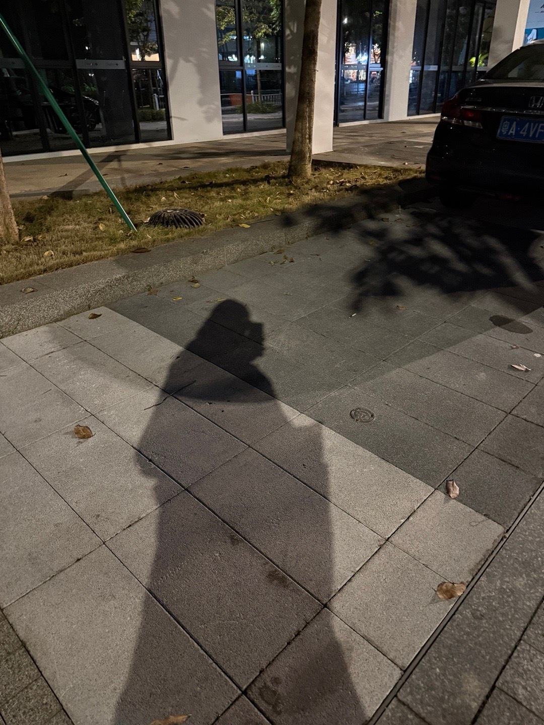 分享图片 ​​​