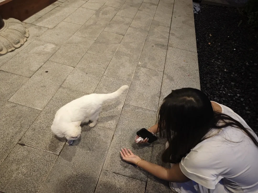 这个女人我超爱