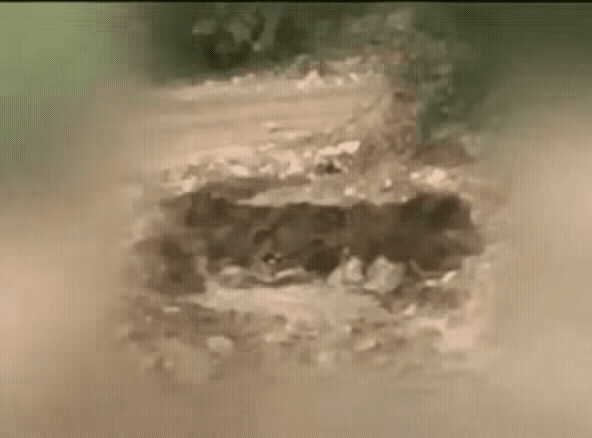 发现没有？这或许就是美以打到现在，始终啃不动伊朗的真正原因。伊朗的导弹发射体系，