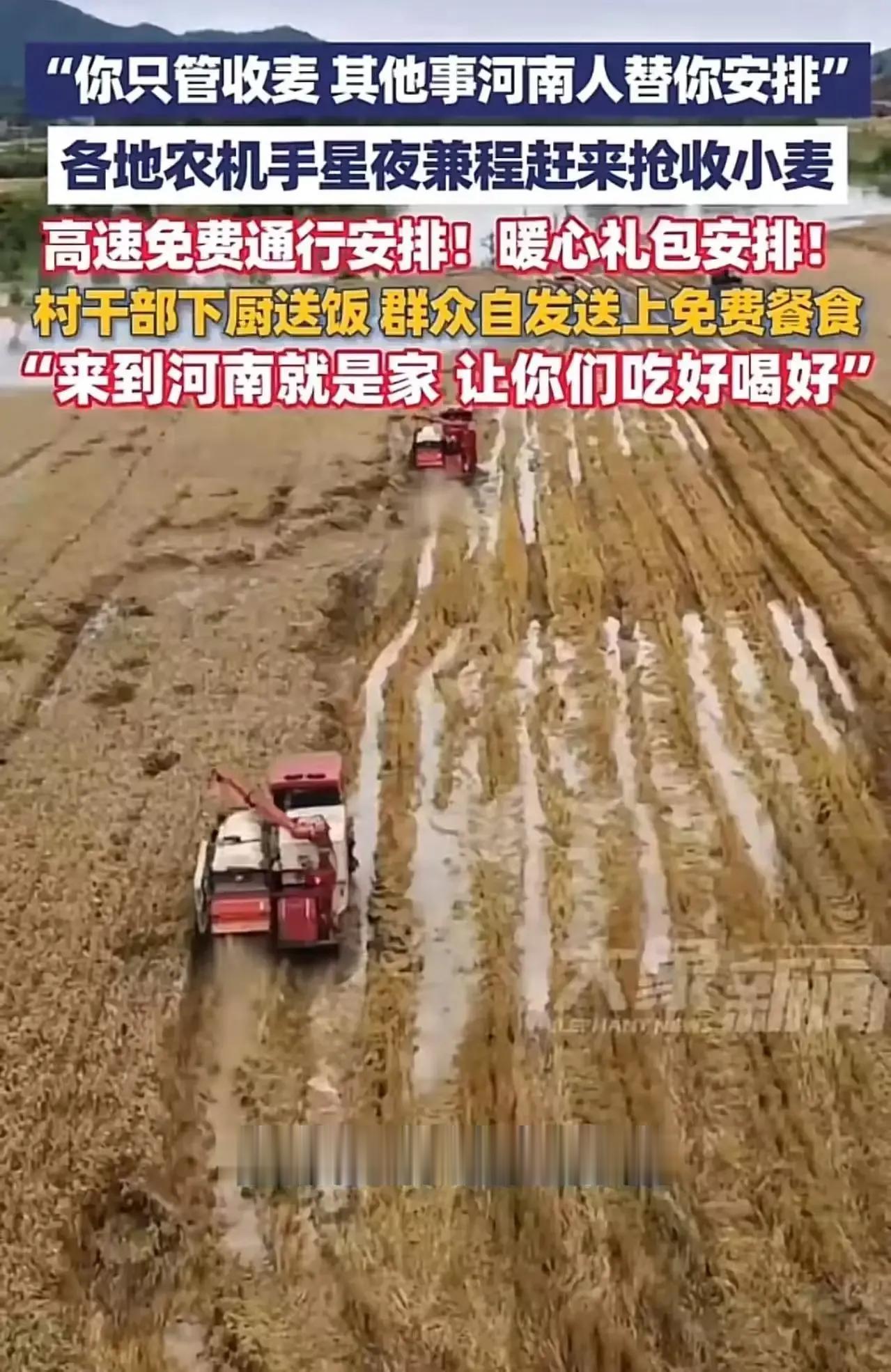 “真的是没有对比就没有伤害啊！”最近湖北和河南的两件事，让网友们炸开了锅，同样是