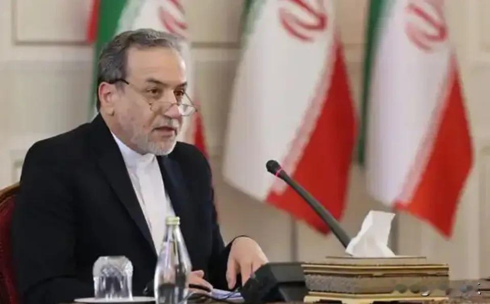 伊朗和叙利亚挺默契的。伊朗外长阿拉格齐走访叙利亚和土耳其后于12月3日发声，恐怖