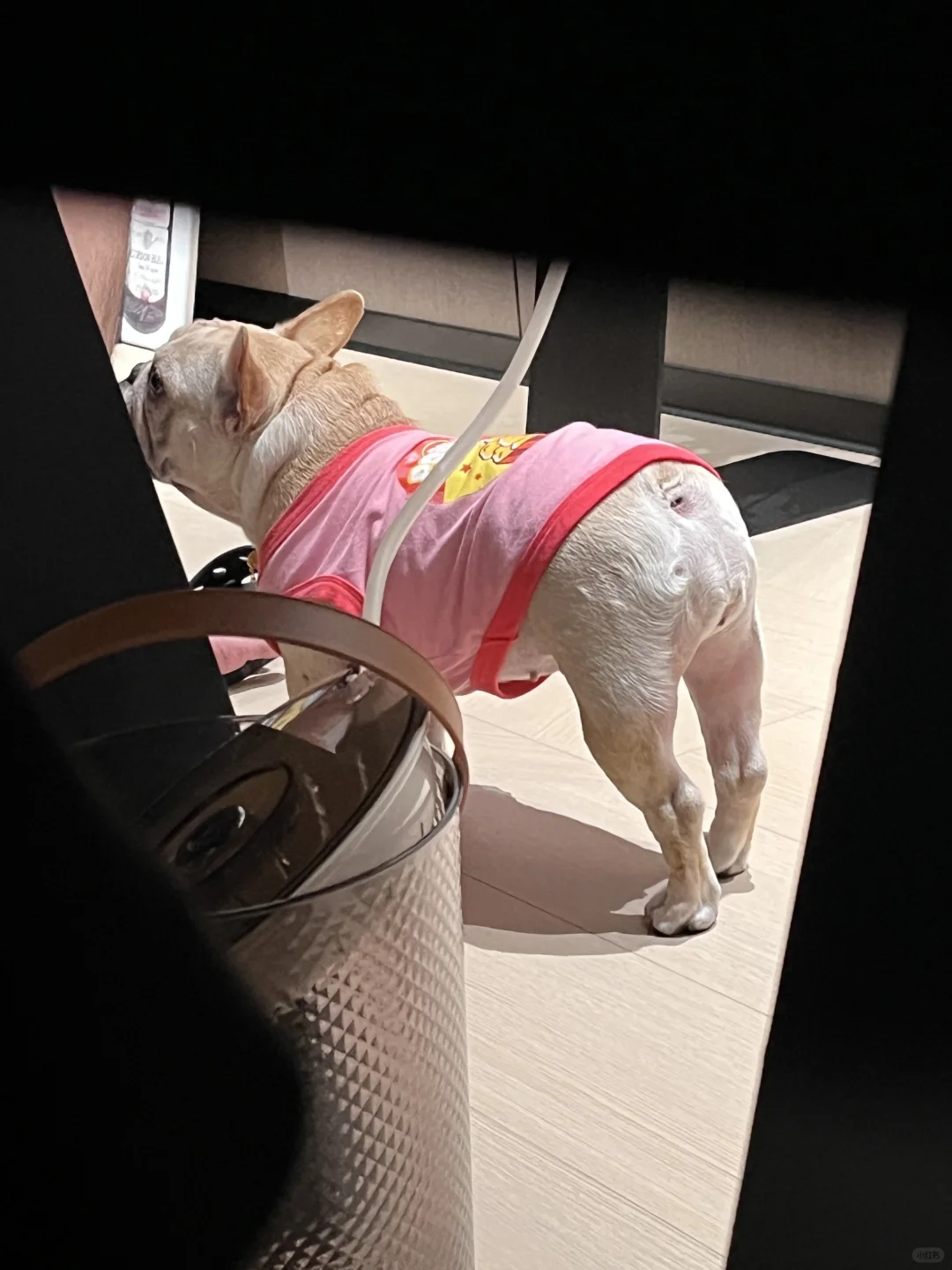 哪里有好吃的 哪里就有我🤤