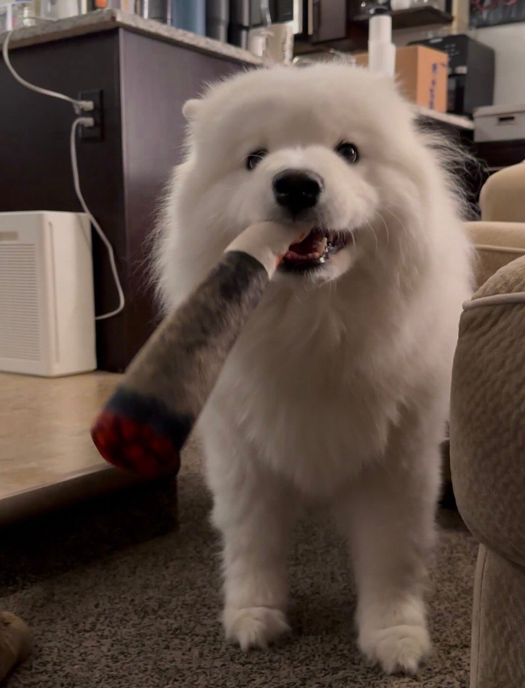 人，有什么困难都可以跟本大耶说 