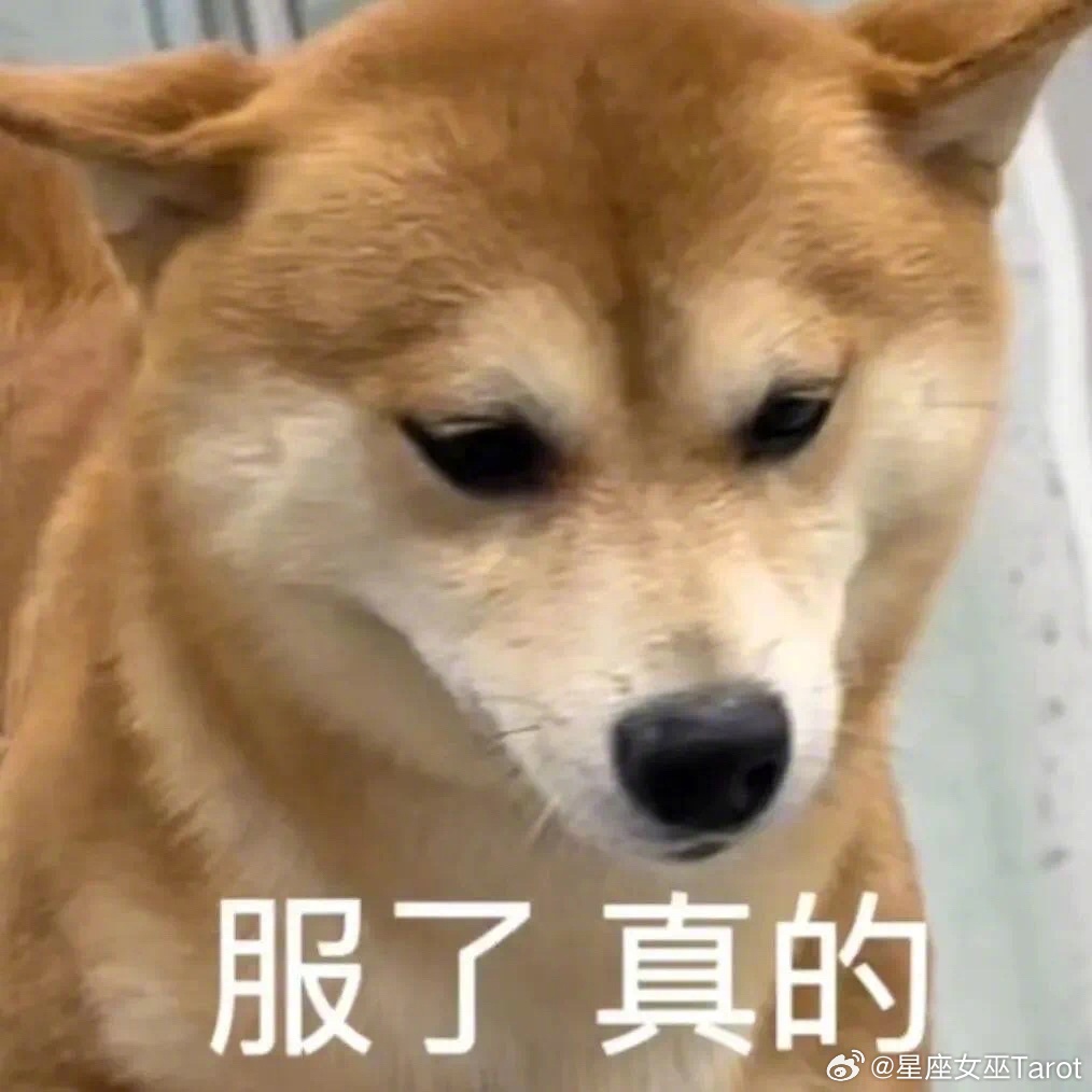 十二星座在感情里最怕什么？白羊座：怕自己一腔热情被当成理所当然金牛座：怕付出了一