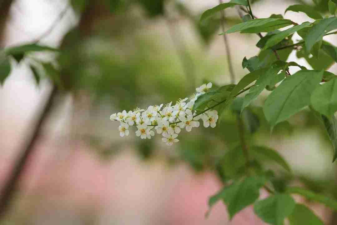 我的今日状态：😁轻松愉快
我这里的天气：☀️晴天