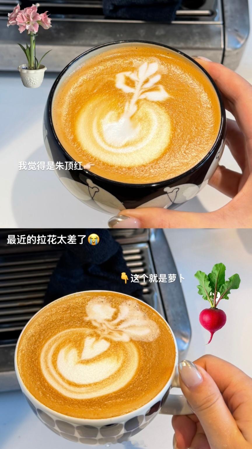 最近拉花的拉花纯靠想象本意是想拉玫瑰花 