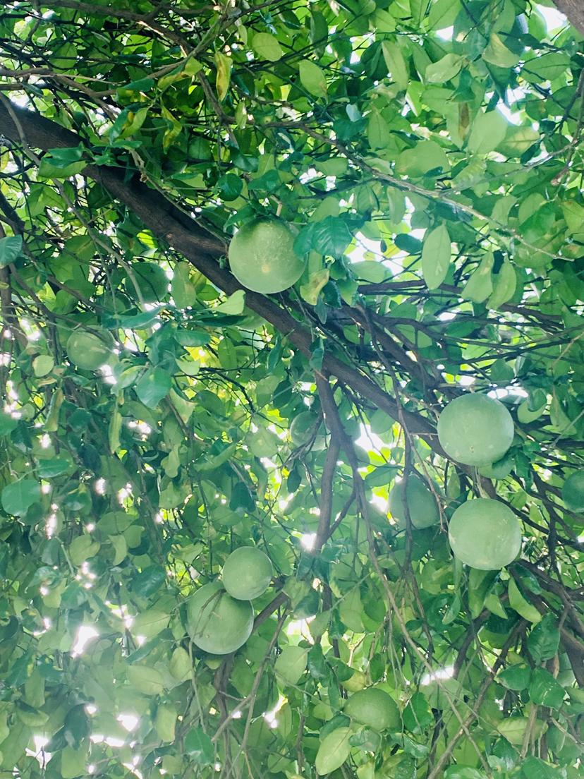 我的今日状态：😁轻松愉快
我这里的天气：☀️晴天