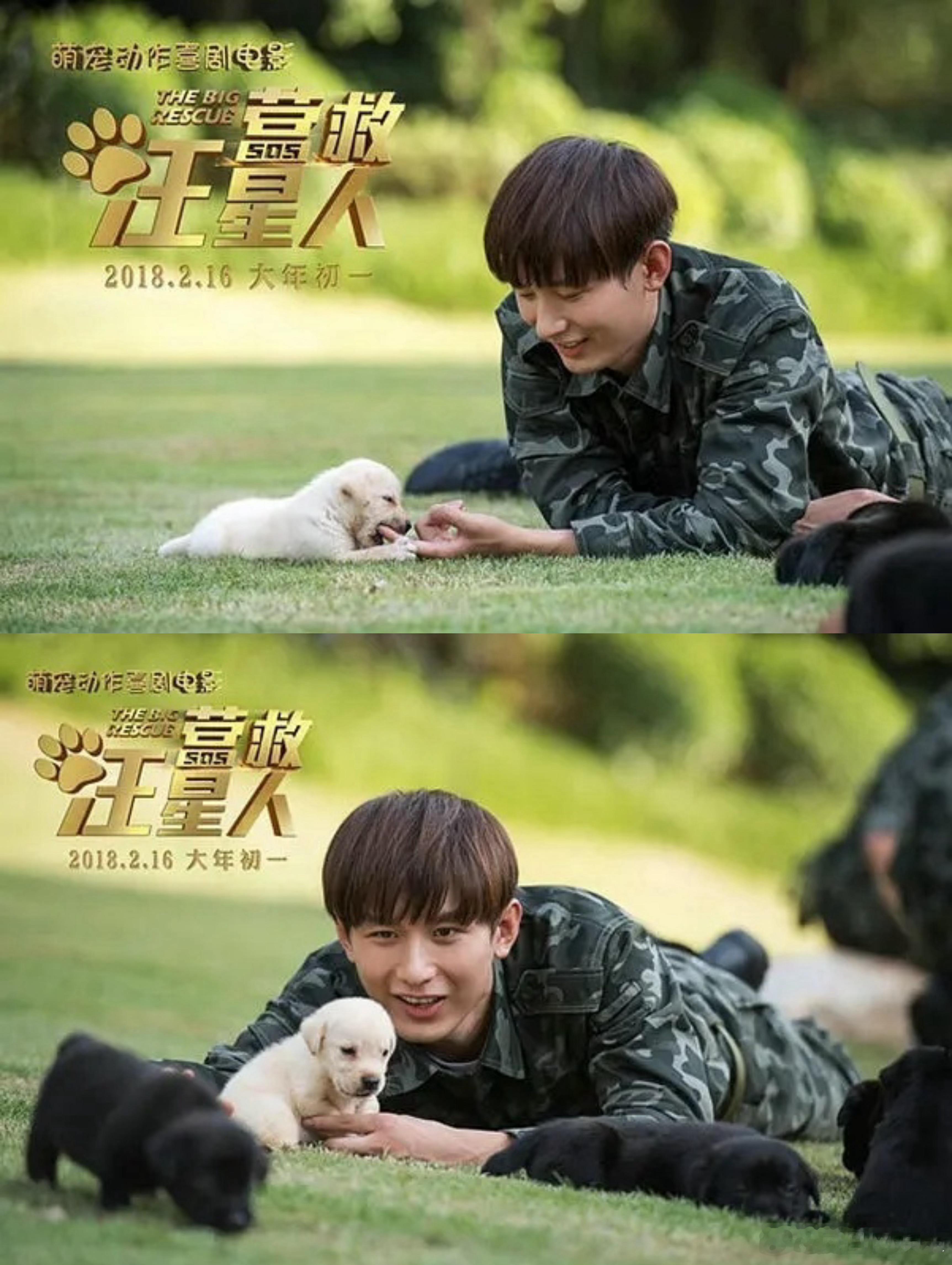 成毅新片定档春节档营救汪星人第三次上映 、、大雄（拉布拉多）领衔主演的萌宠悬疑喜