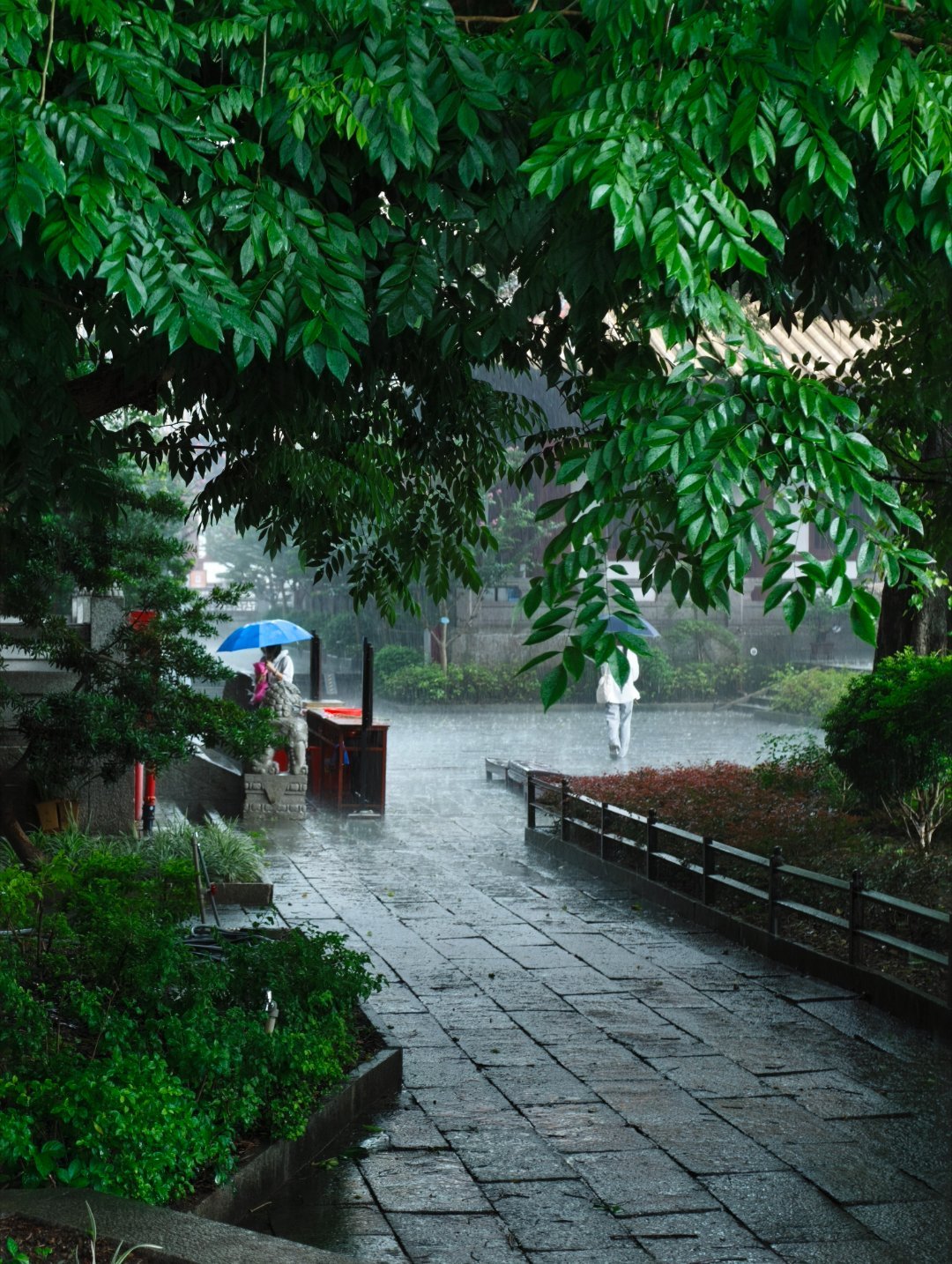不知道在下一代小米旗舰上，还能见到徕卡一瞬吗