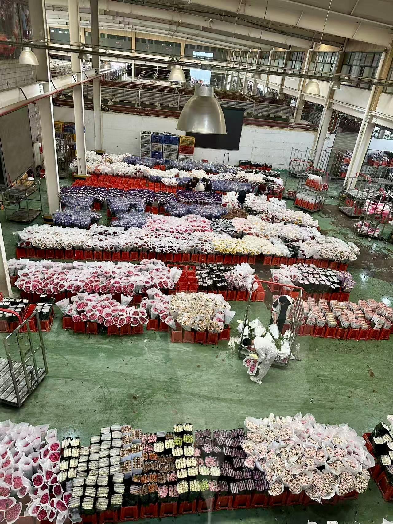 保护生物多样性需要付诸具体行动：在此次联合访问期间，傅融大使和白玉堂大使参观了昆
