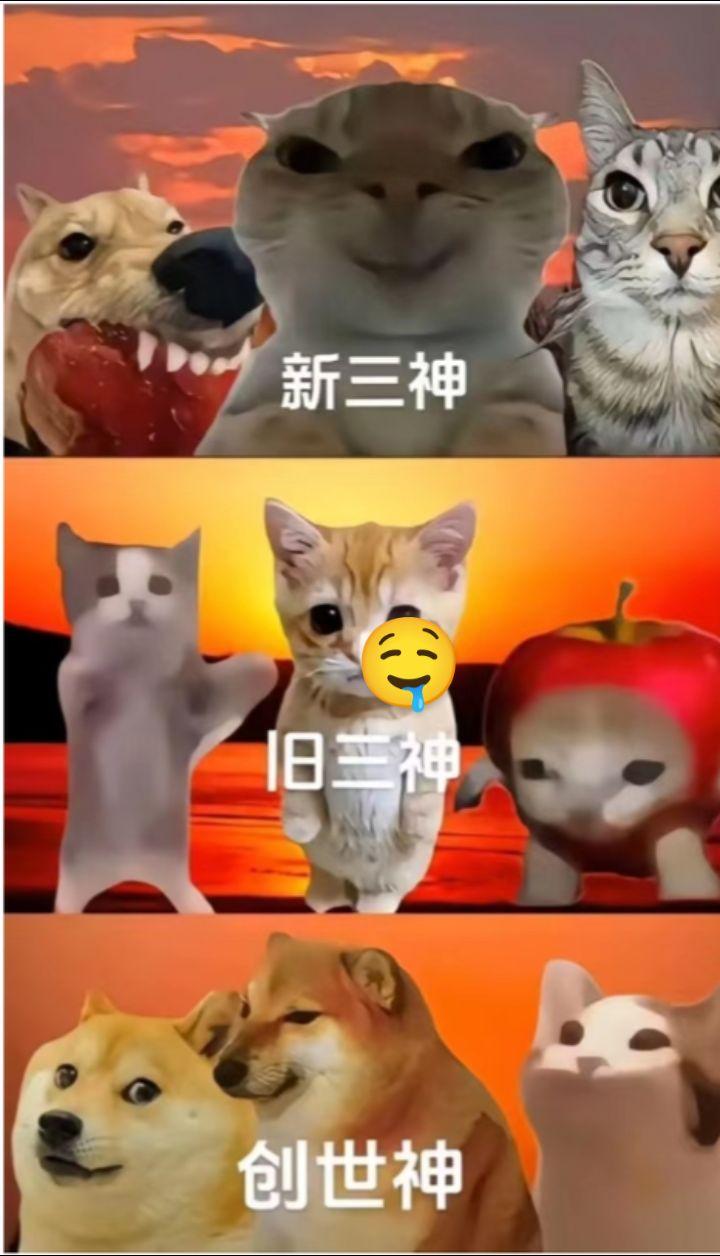 魔性猫咪表情包 万恶之源表情包 日常搞怪 梗图