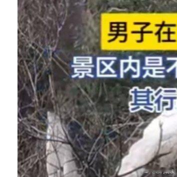 男子在黄山跳伞撞山被行政处罚 这事儿真让人捏把汗！男子在黄山迎客松附近跳伞撞山，