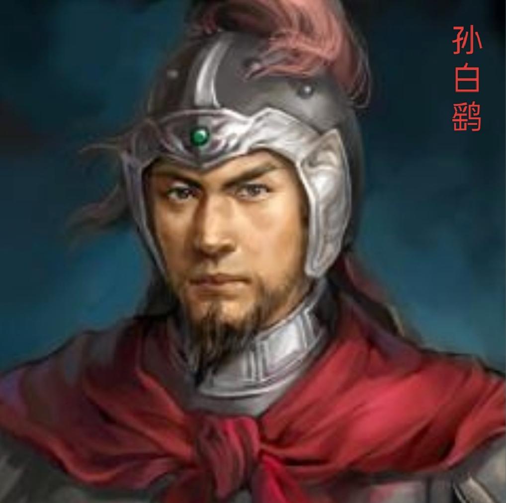 孙白鹞，是北魏末年尔朱氏集团的将领，他主要活跃于北魏永安三年（530 年）至普泰