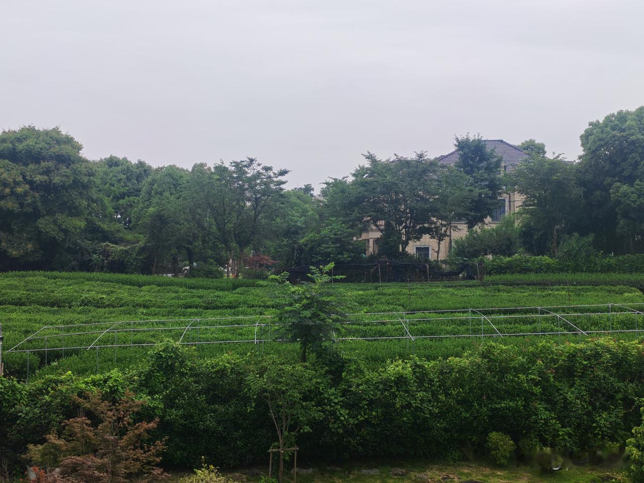 退休后如果能回到这样的农村生活，该是多么幸福的事情啊！

这里有山有水，家家住着