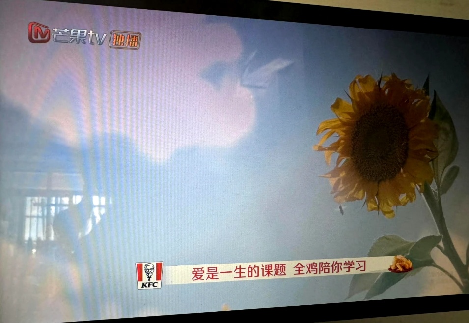 肯德基全鸡赞助了再见爱人  肯德基全鸡赞助了《再见爱人》 肯德基也是蹭到麦琳热度