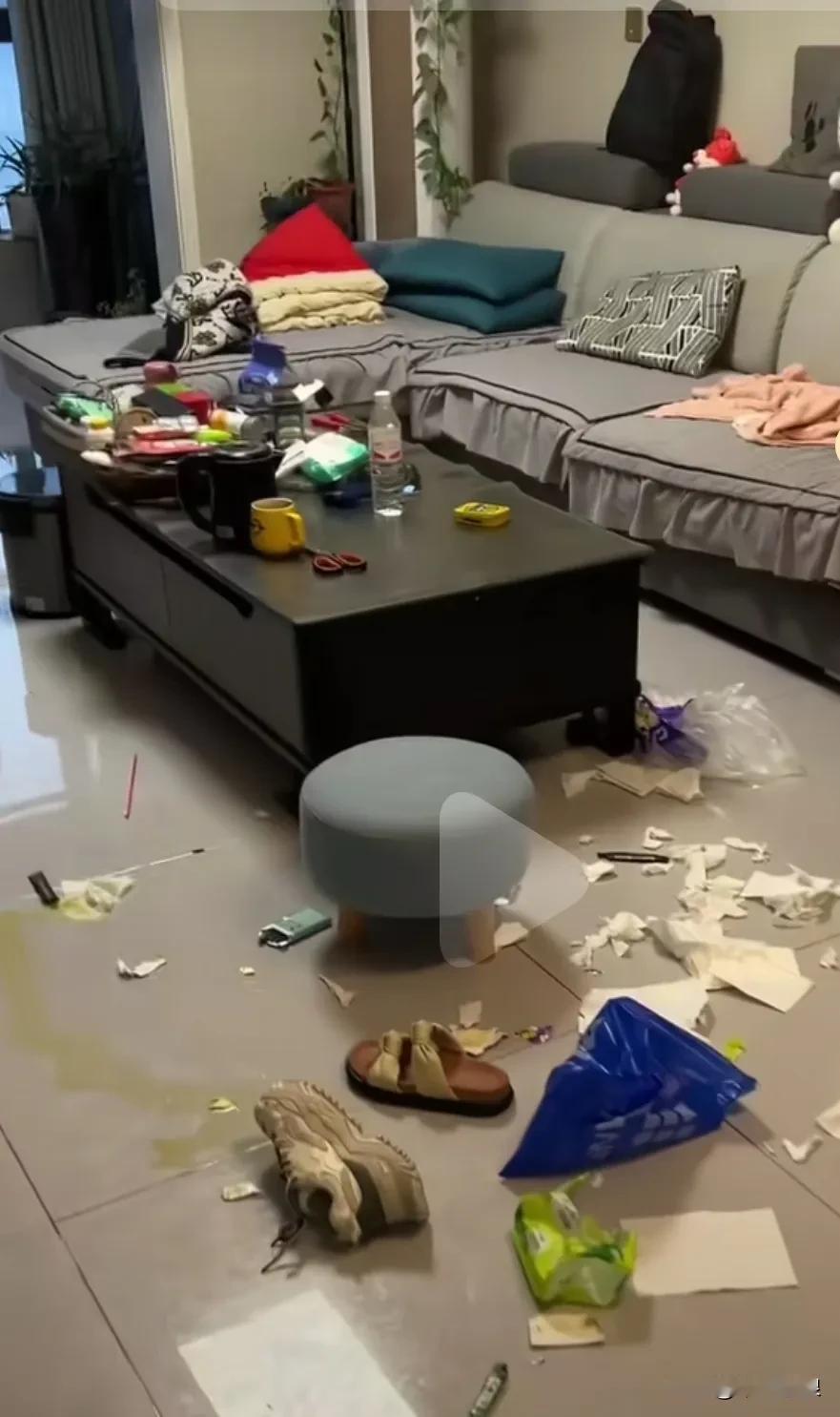 拆家狗家里能拆的都被它拆得七零八乱，女主人气得快爆炸了，拿起一只鞋往狗狗头一阵乱