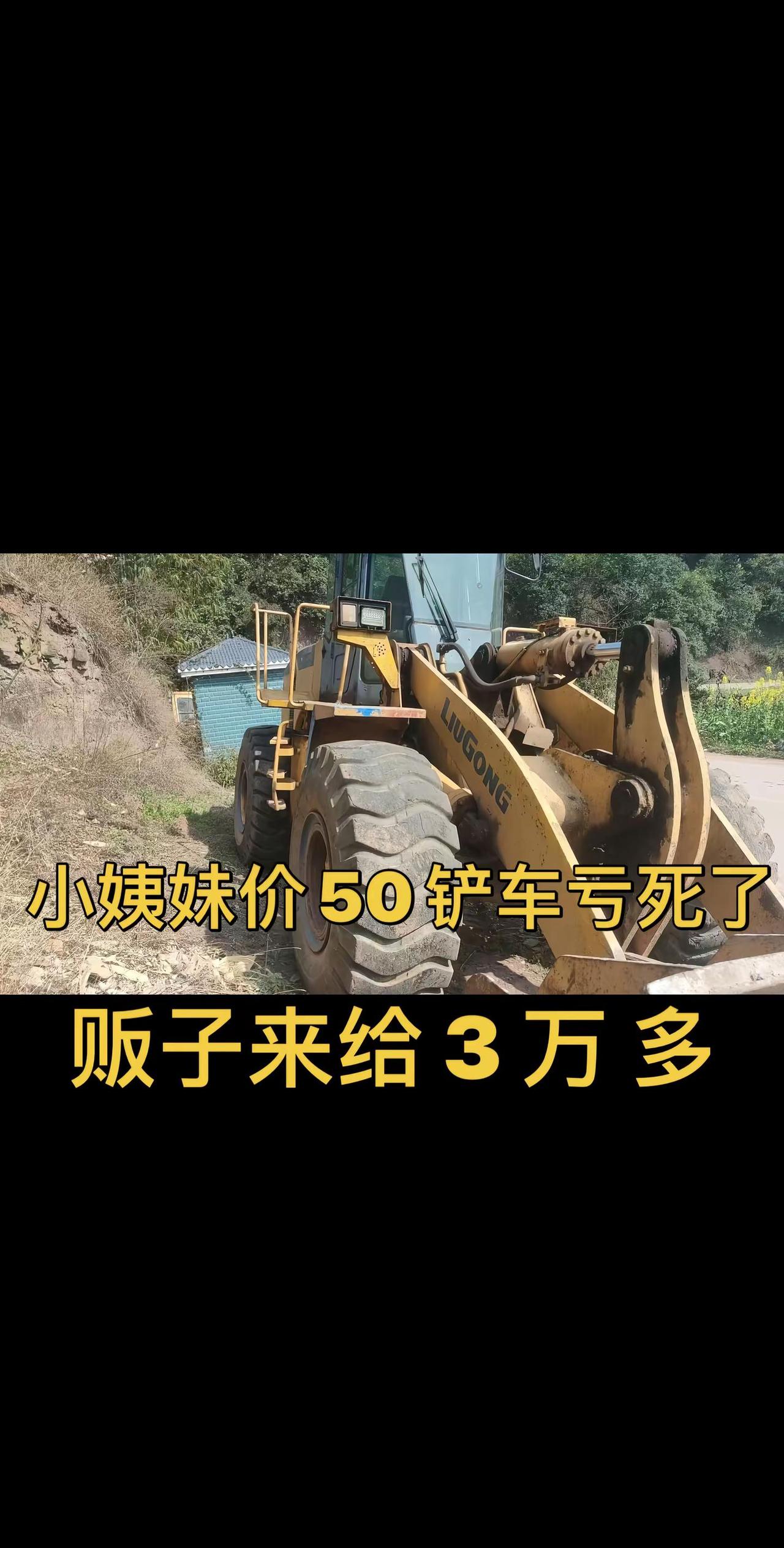 野生装载机.装载机 铲车 原创 工程机械