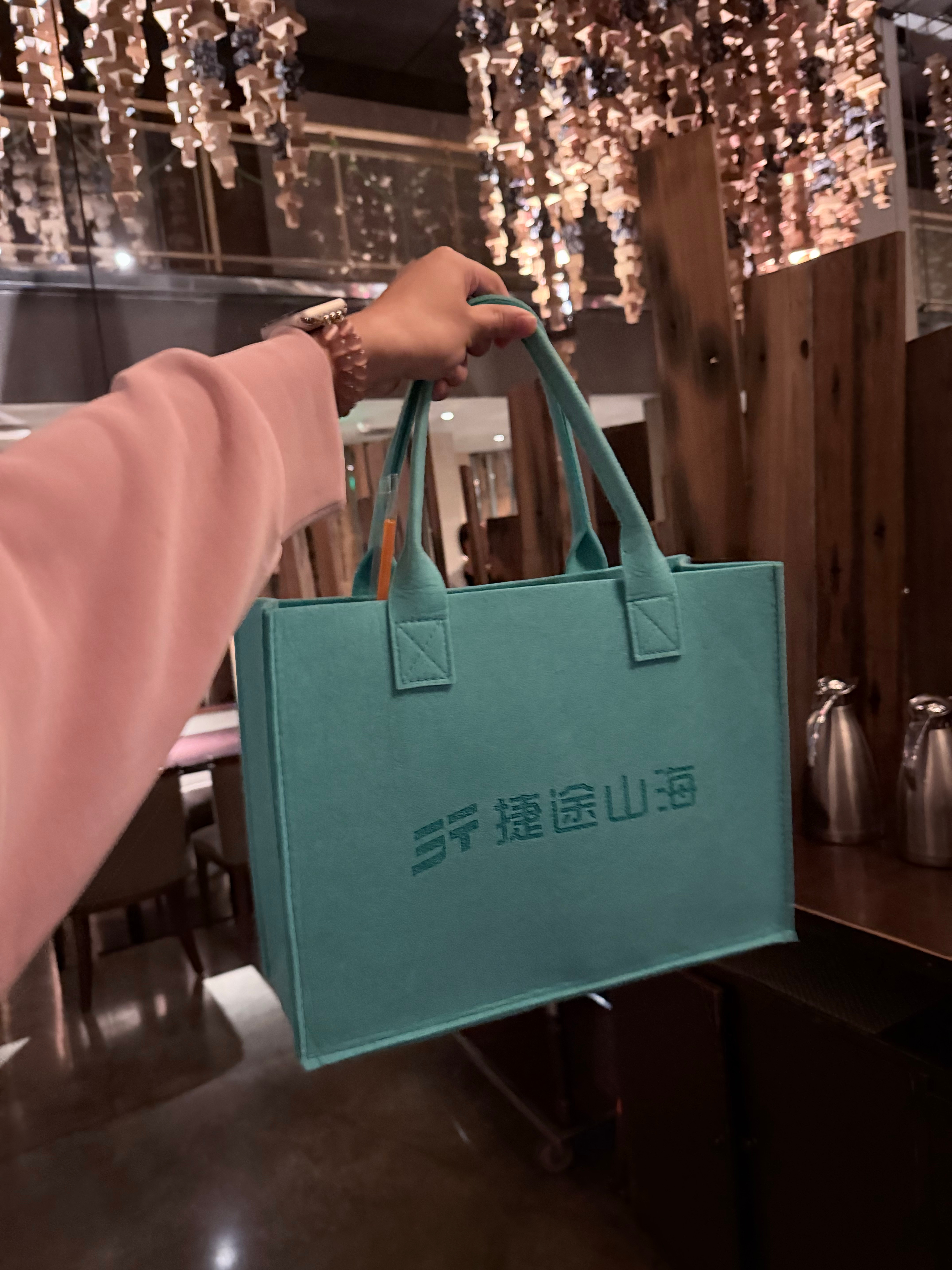 捷途山海送的这个包吧，我也没想到在我家使用率那么高，我妈说大小合适，而且很轻很轻