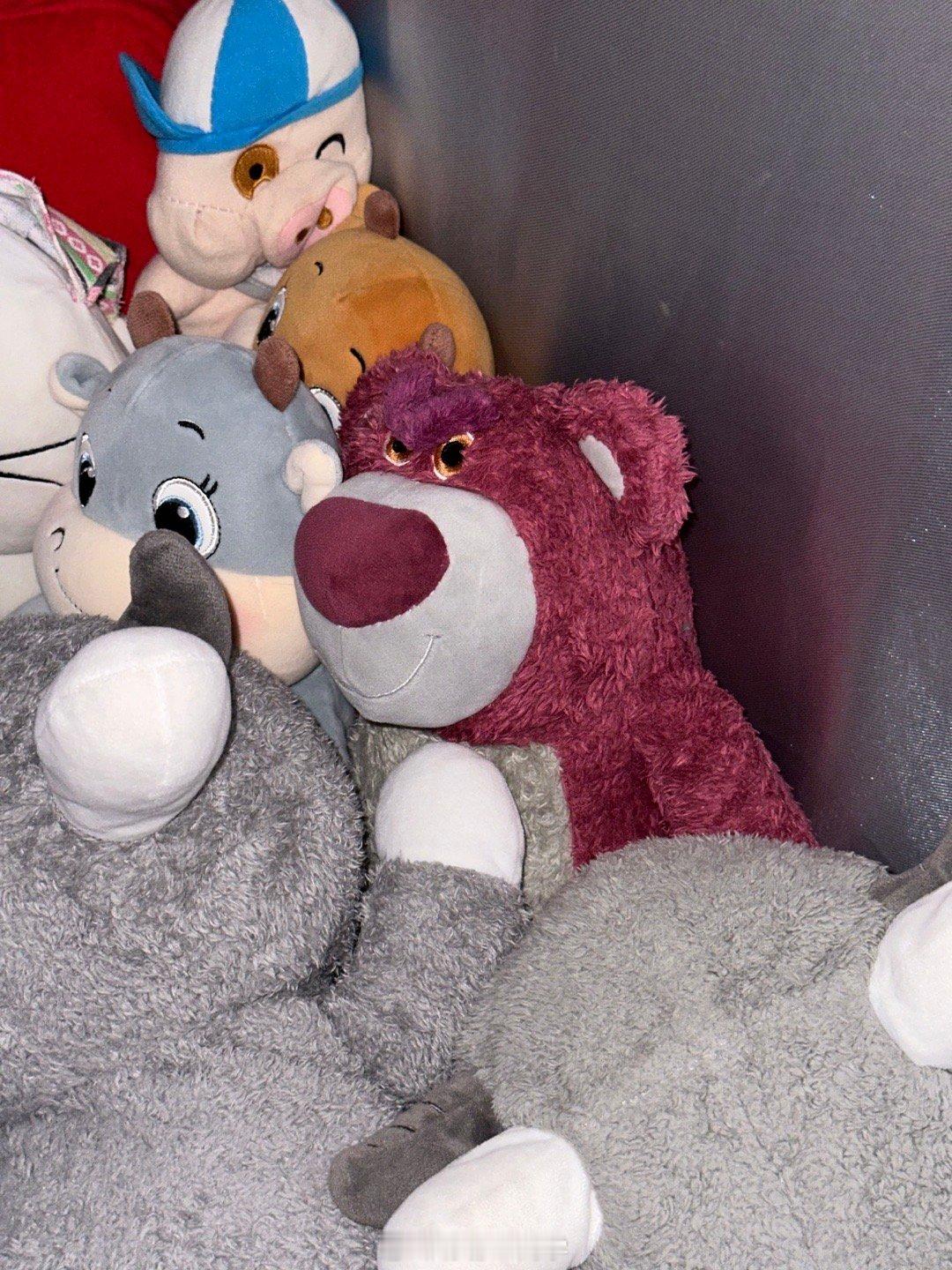 大学生真正的床上五件套我大学的时候床上可以其他都没有，但是草莓熊和一个充满电的充