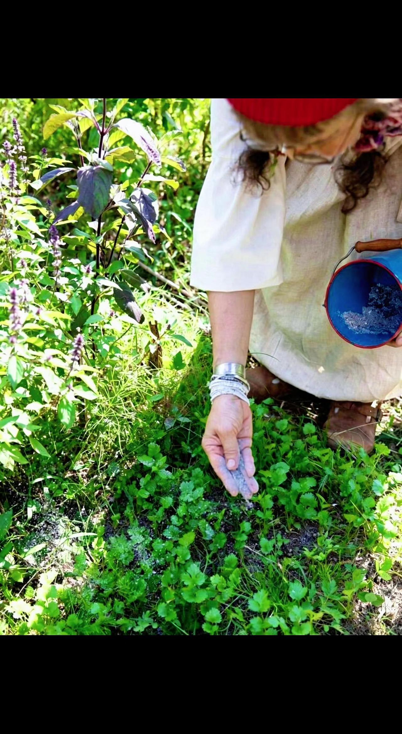 🌱指尖捻碎阳光，撒成植物的星辰✨。每粒都是大地的悄悄话，等一场破土而出的惊喜?