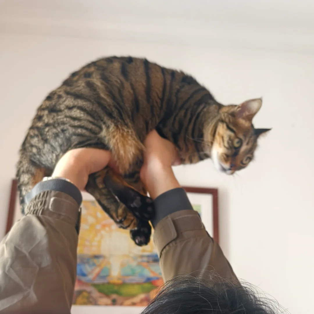 老丈人想给女婿换备胎，结果发现女婿是电车