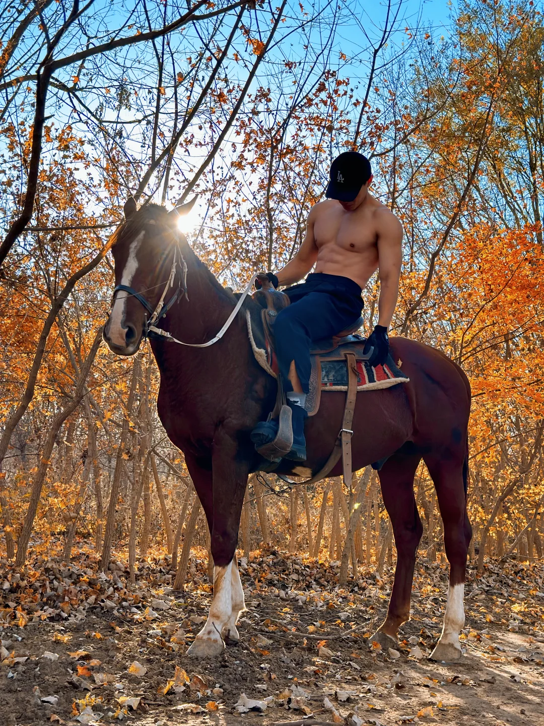 野骑马背上，才是秋天的归属🍂🐎