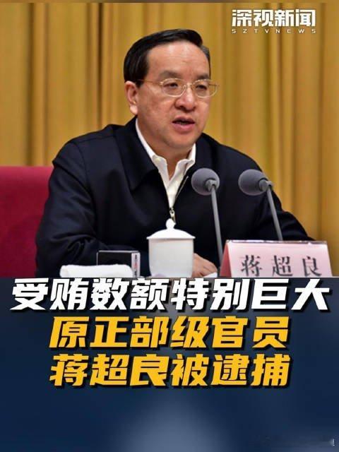 【蒋超良涉嫌受贿一案被提起公诉】十四届全国人大常委会原委员、全国人大农业与农村委