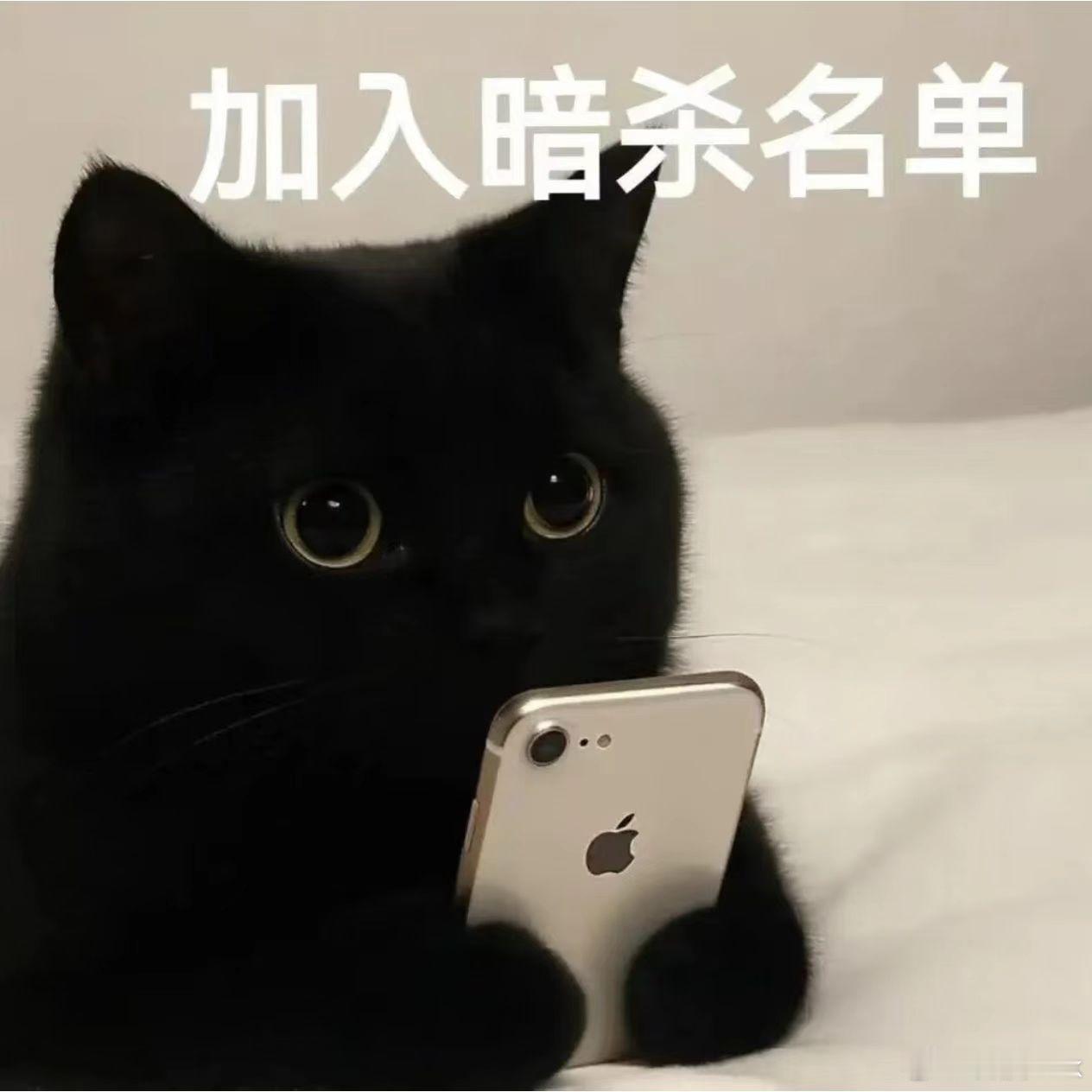 库克你的iPhone在北京烫吗 感觉有点好笑啊，iPhone是出了名的容易发烫并