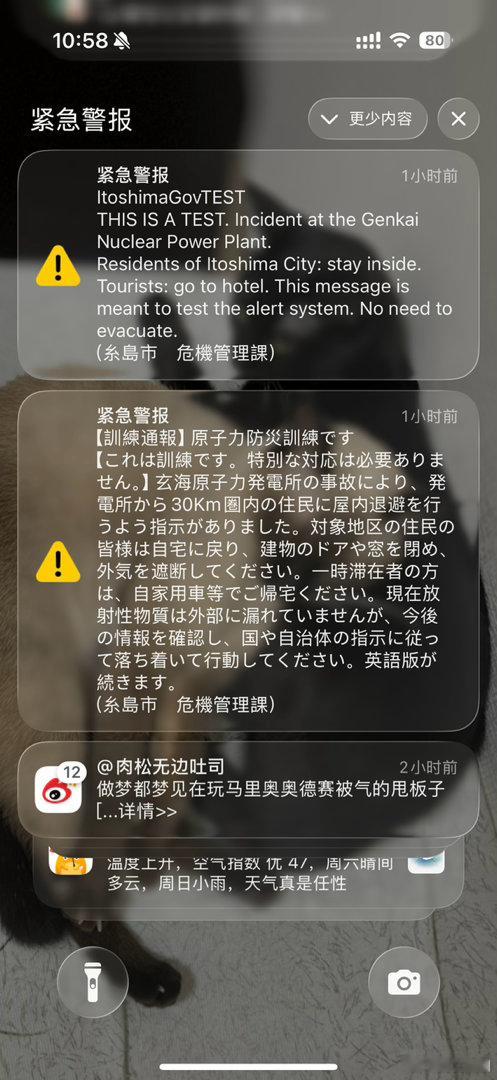 自从这个杀币警报响了三次之后我在这闭着眼俩小时，但还是再也睡不着了，我真是气死了
