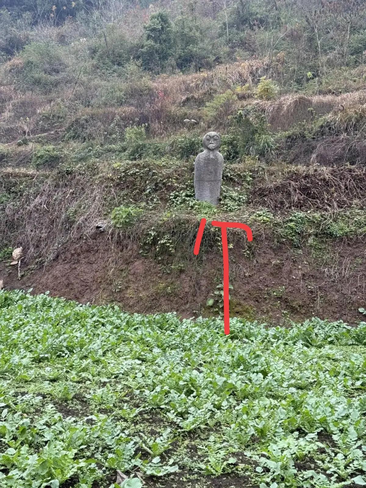 我滴个天！吓我一跳，这是什么啊？谁懂？[what]