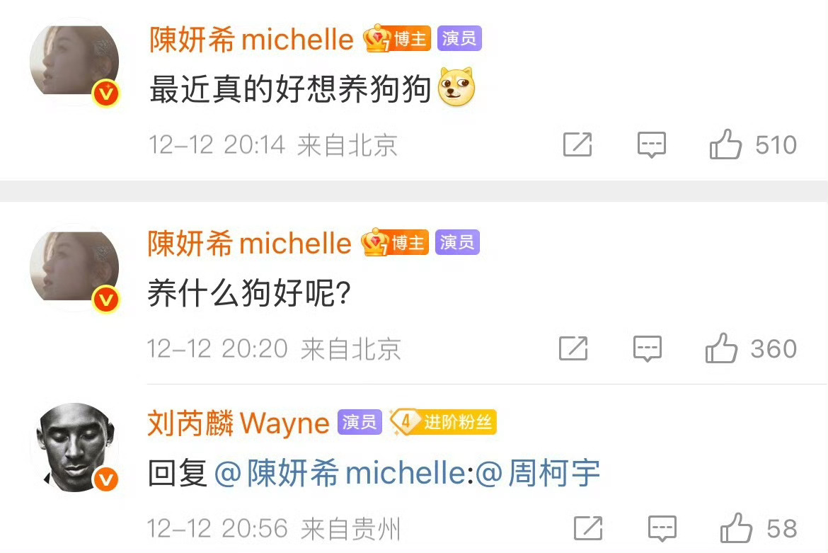 刘芮麟魔丸来的刘芮麟艾特周柯宇 刘芮麟魔丸来的！陈妍希说养狗，刘芮麟艾特周柯宇，