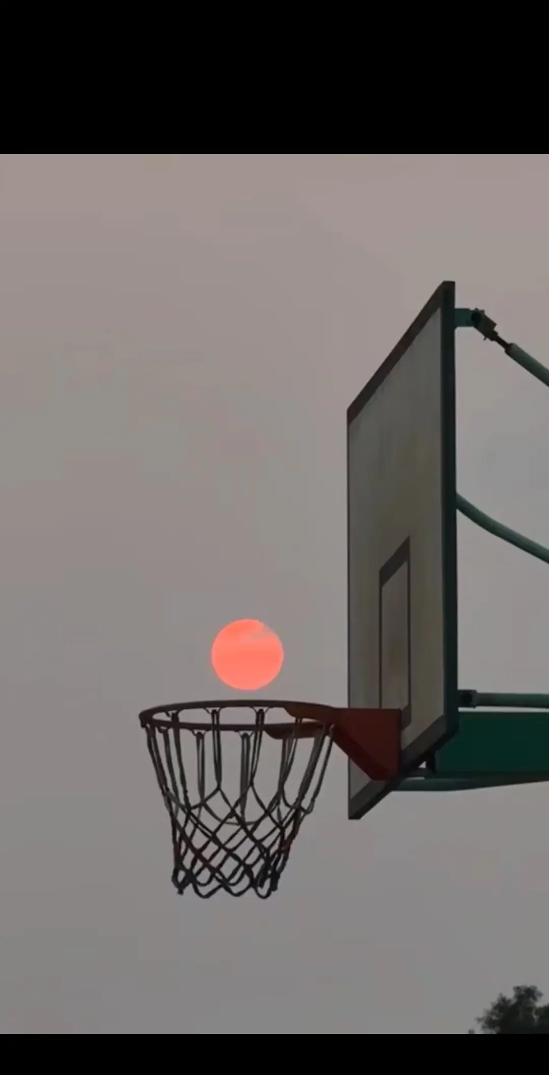 投篮🌞