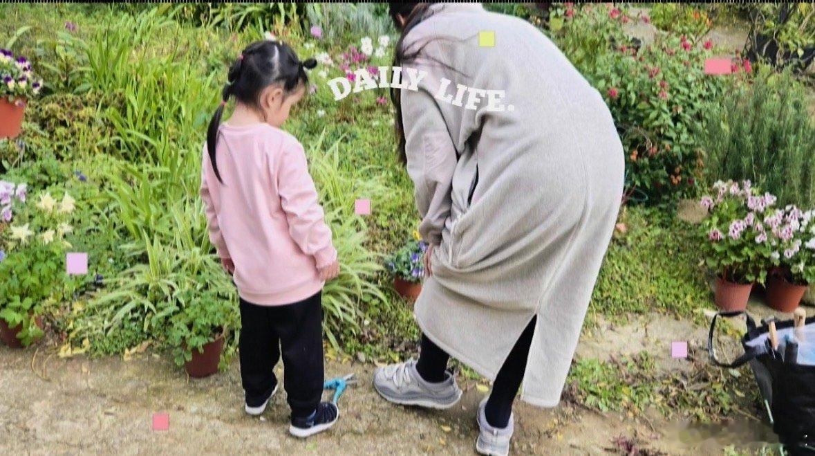 郭碧婷向佐儿子都这么大了郭碧婷儿子都这么大了向笙和妈妈一起在花田里低头看花，小小