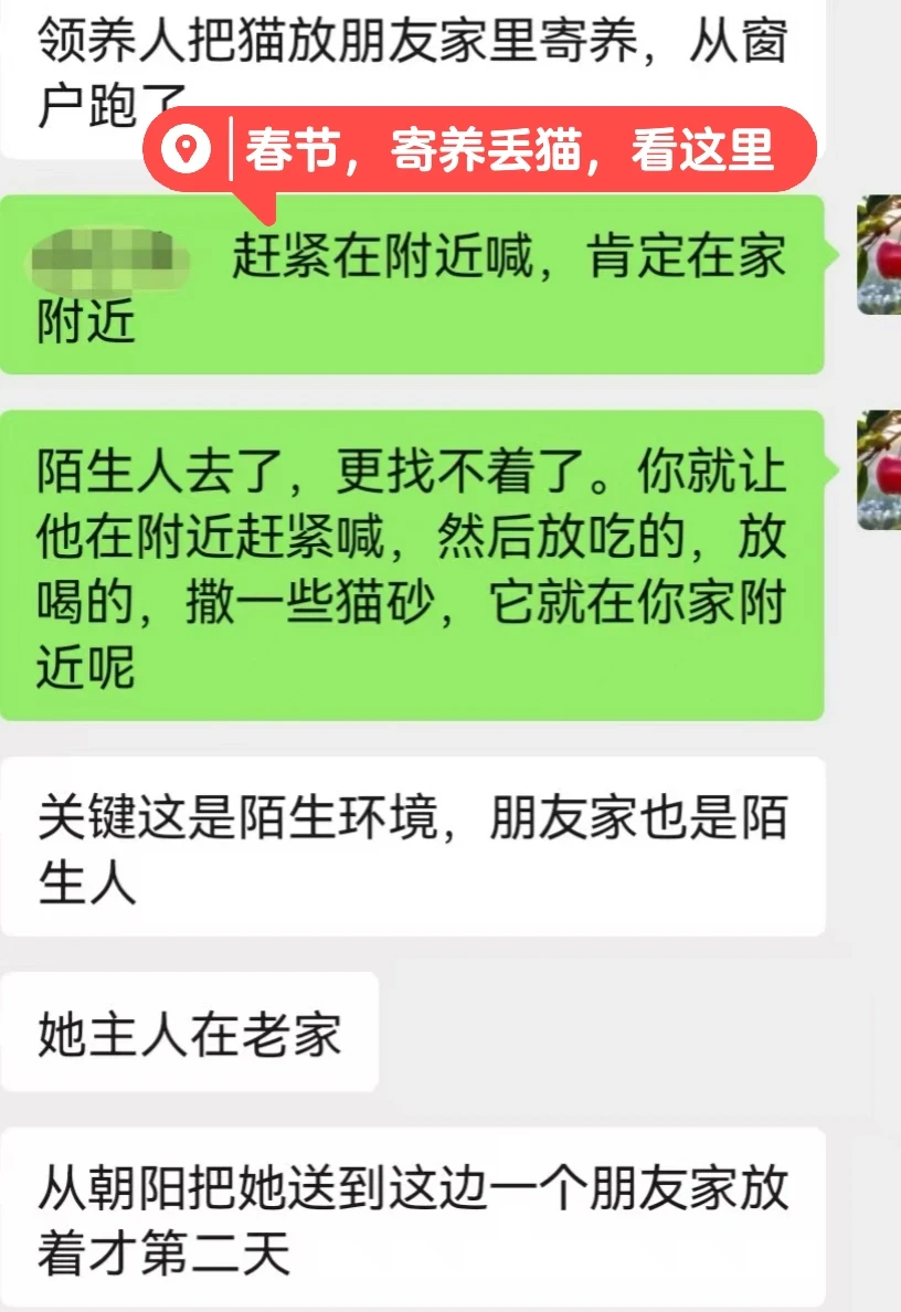 春节猫咪寄养后丢失，一招找回