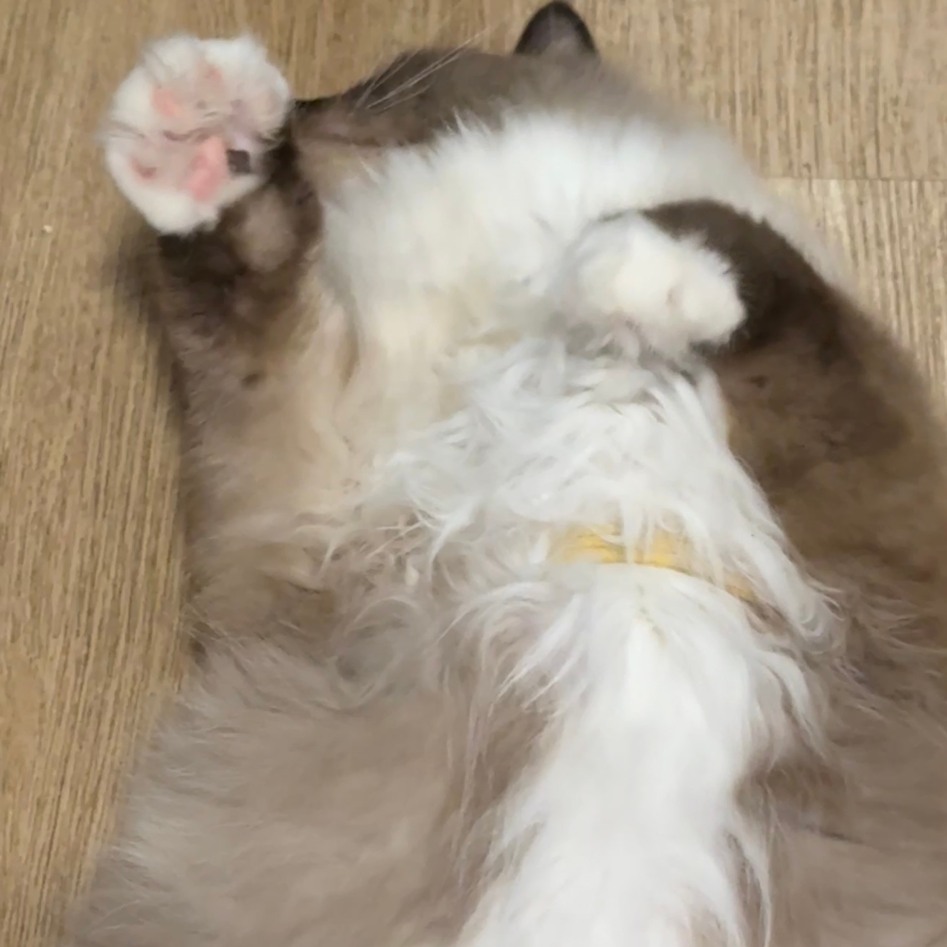 哦嗨哟 ​​​