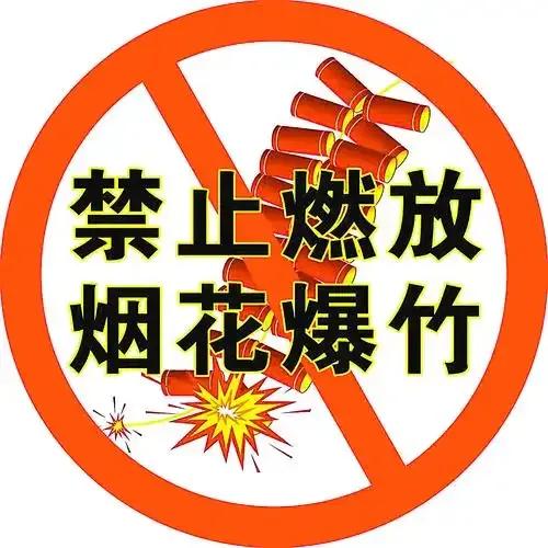 你们今年禁燃吗？
前段时间，我们居民小区群里管片民警通知：今年市区不让燃放焰火了