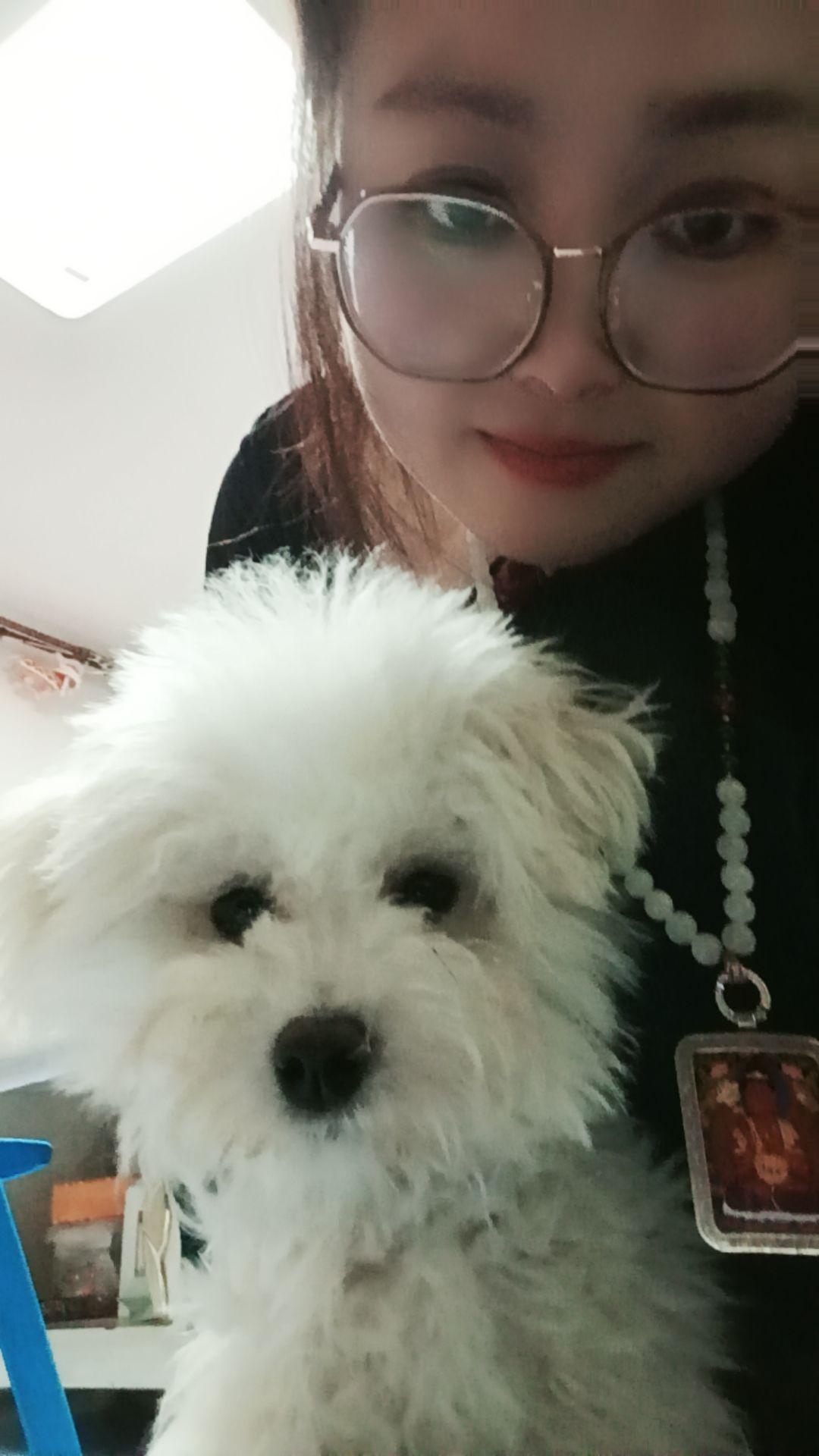 聪明活泼 淘气又可爱