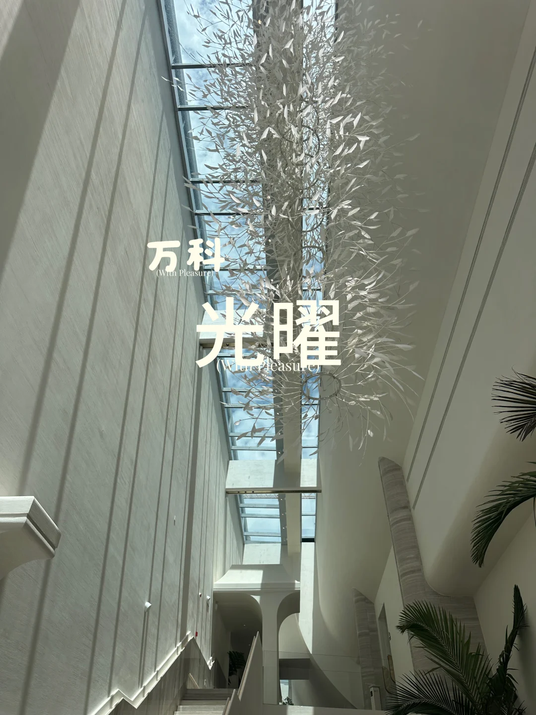 拒绝内卷！成都zui有创新力的洋房来了！