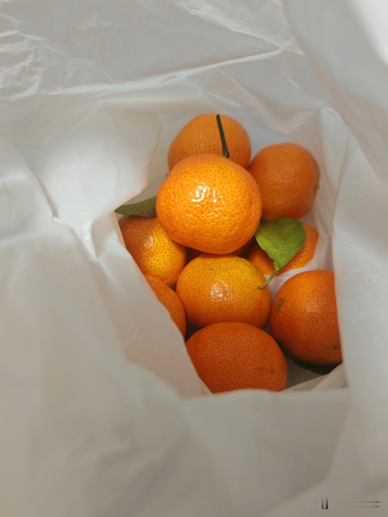 今天买菜，买了个这回来
冬天到了，又可以吃这个了
以前小时候都没有这个，只有大的