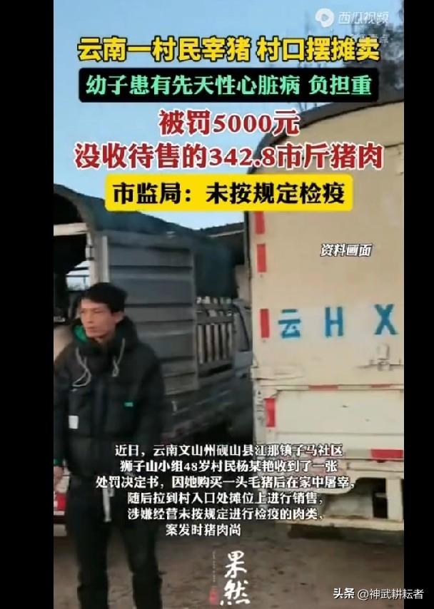 人情和法理必须分清楚，云南农户死宰猪村口售卖，被抓罚款，这件事看起来不近人情，但